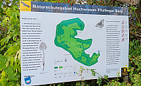 20230819_184430.jpg