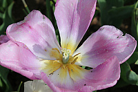 IMG 0837