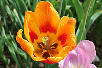 IMG 0838