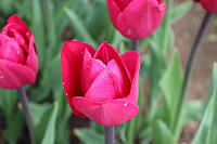 IMG 0857