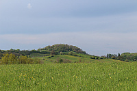 IMG 0864