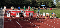 IMG 4786