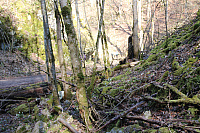 IMG 0773