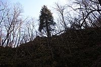 IMG 0775