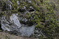 IMG 0776
