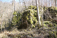 IMG 0779