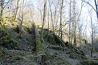 IMG 0790