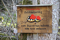 IMG 0793