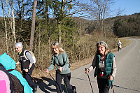 IMG 0799