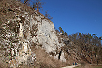 IMG 0807
