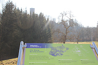 IMG 0816