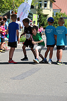 IMG 1578