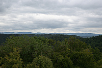 DSC 6759