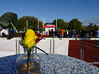 EmpfangHechingen 07